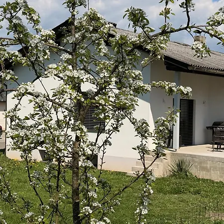 Aussichtsstrasse - Wunderschoen Renoviertes Einfamilienhaus In See- Und Stadtnaehe קלגנפורט